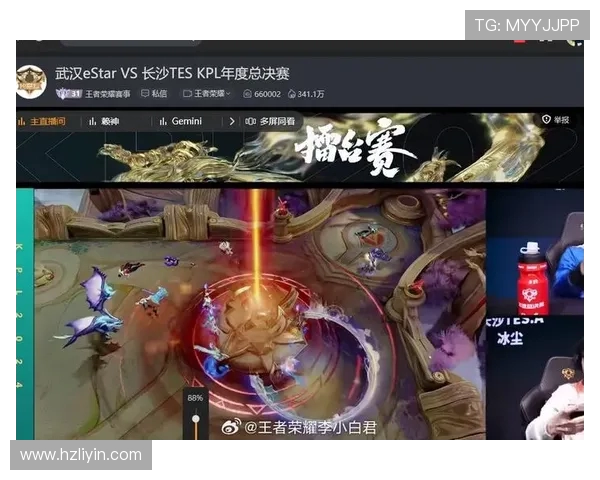 TES实力引发热议王者荣耀赛场上的争论与期待