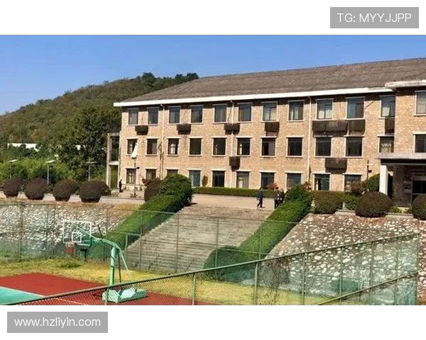 南京极限运动队的控制得失分析与未来发展展望