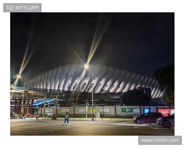 深圳羽毛球队在世界锦标赛中的技术表现分析与点评