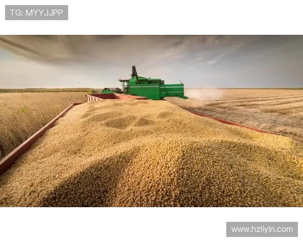 昌原与釜山运输的竞争与合作：未来发展趋势分析与展望