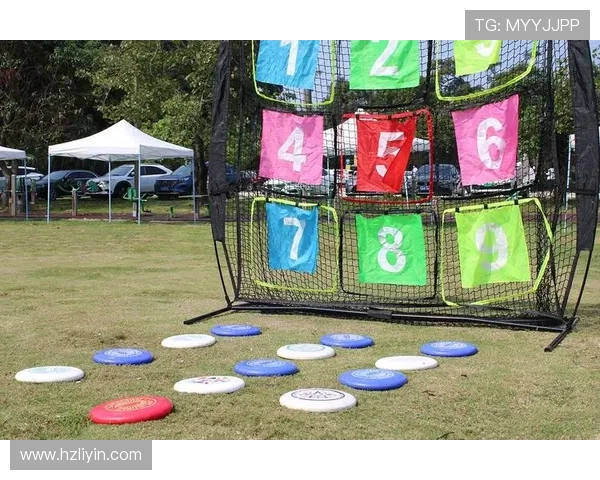 对话杨强：探索飞盘运动的魅力与挑战之旅