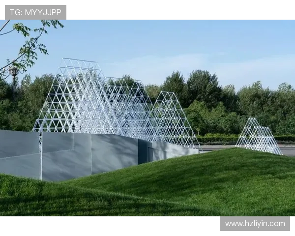 上海极限运动队灵活性研究与实践探索的深度分析与思考